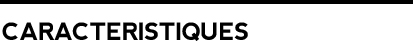 Caractéristiques de notre logiciel de référencement avec le PACK STANDARD