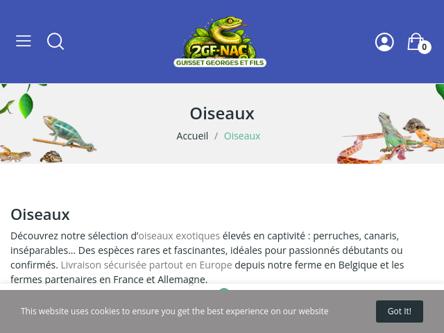 Achat oiseaux exotiques | Perroquets, perruches & canaris livr&eacute;s en France et Europe