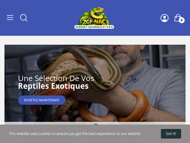 Animaux exotiques CB-CITES | Serpents, geckos, tortues & autres NAC &ndash; Livraison Europe