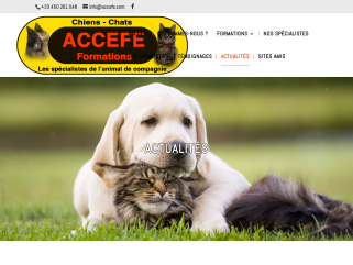 Actualités de l'ACCEFE