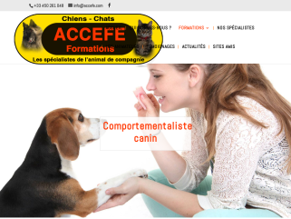 Comportementaliste canin - Analyser le comportement du chien - Proposer des solutions