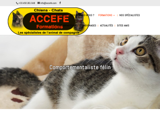 Comportementaliste félin