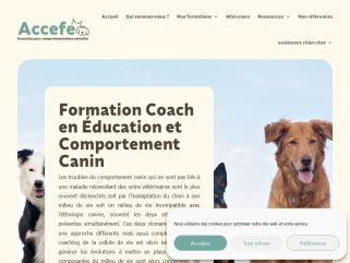 Formation Coach en Éducation et Comportement Canin