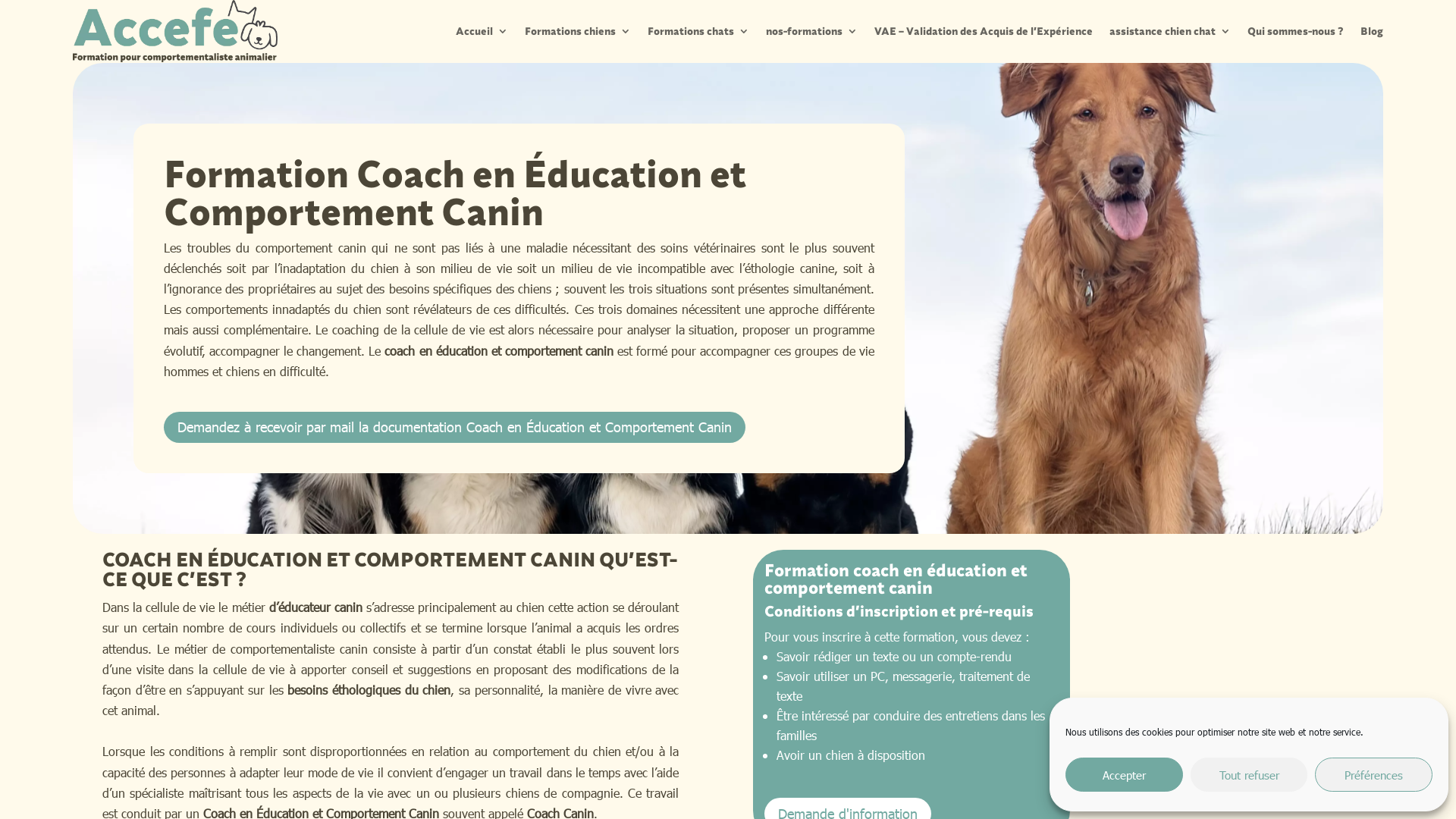 Capture d'écran de Formation Coach en Éducation et Comportement Canin