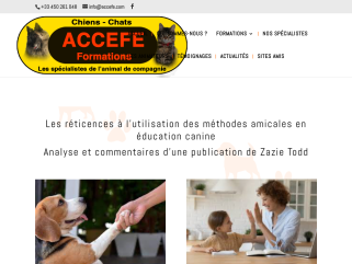 Methodes amicales en education canine