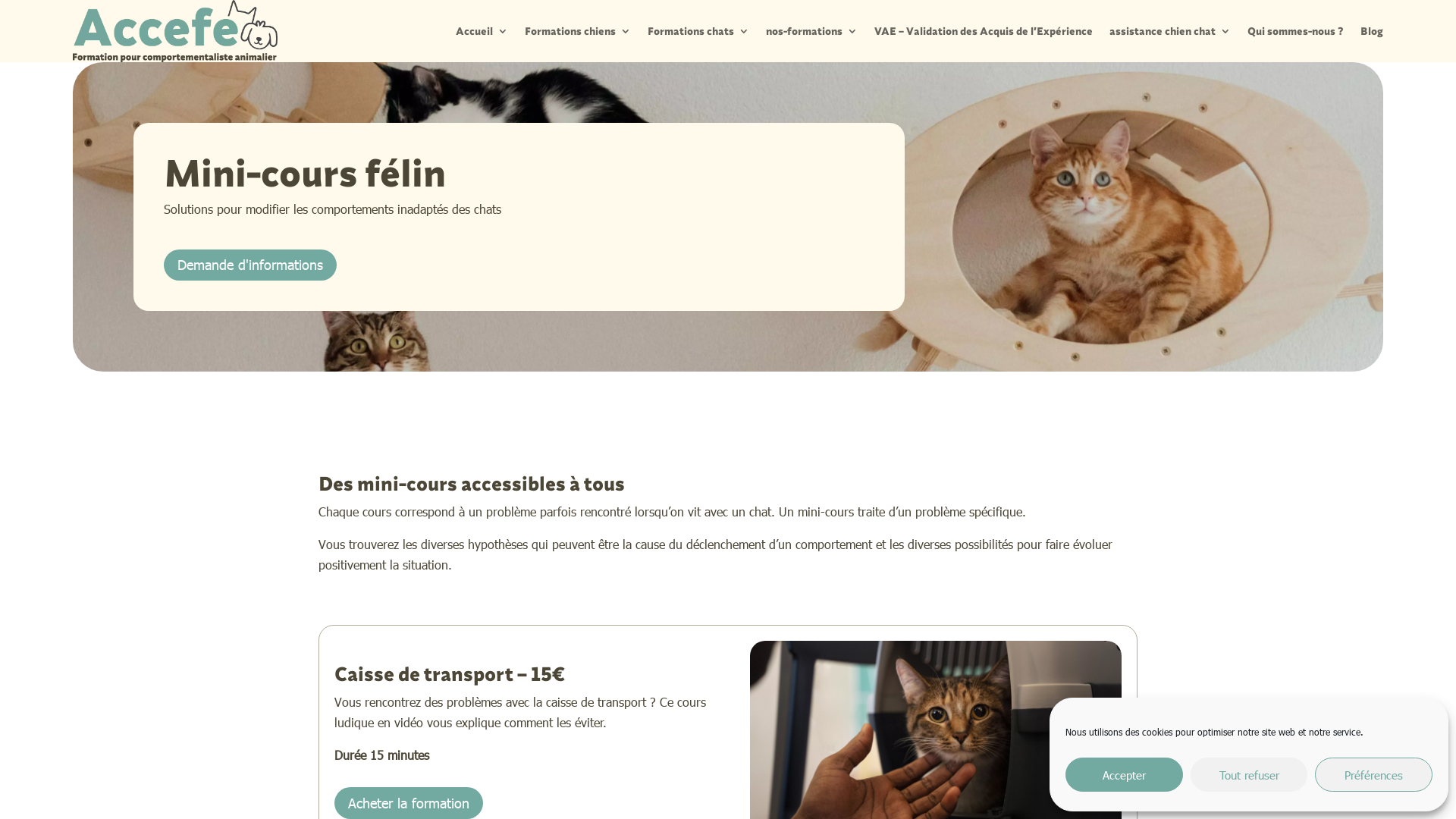 Capture d'écran de Mini-cours félin