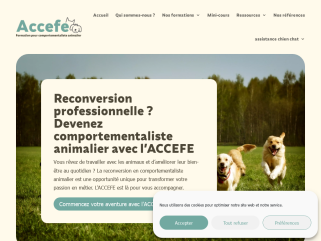 Reconversion professionnelle ? Devenez comportementaliste animalier avec l’ACCEFE
