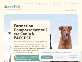 Formation comportementaliste canin à l’ACCEFE