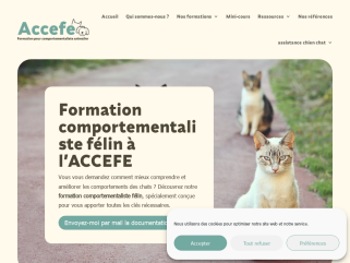 Formation comportementaliste félin à l’ACCEFE