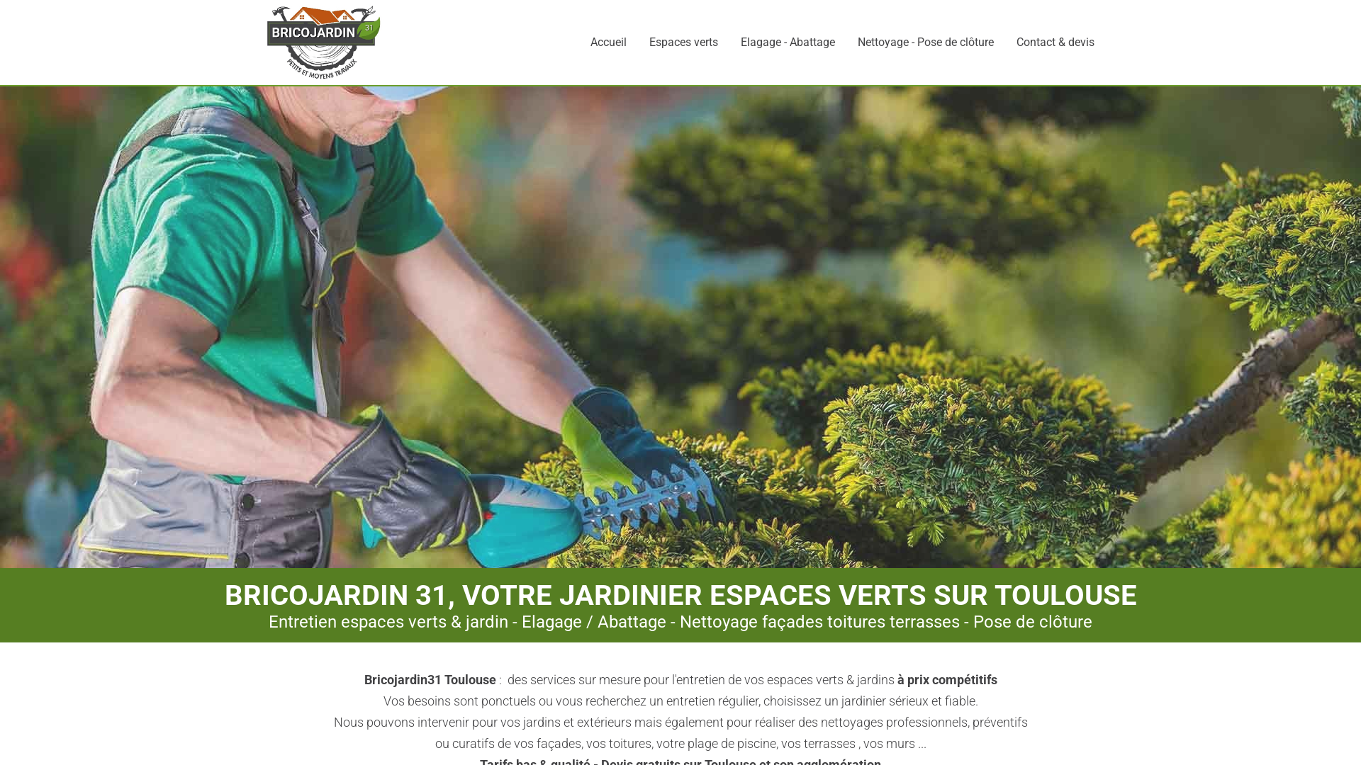 Capture d'écran de Site jardinier paysagiste bricojardin31
