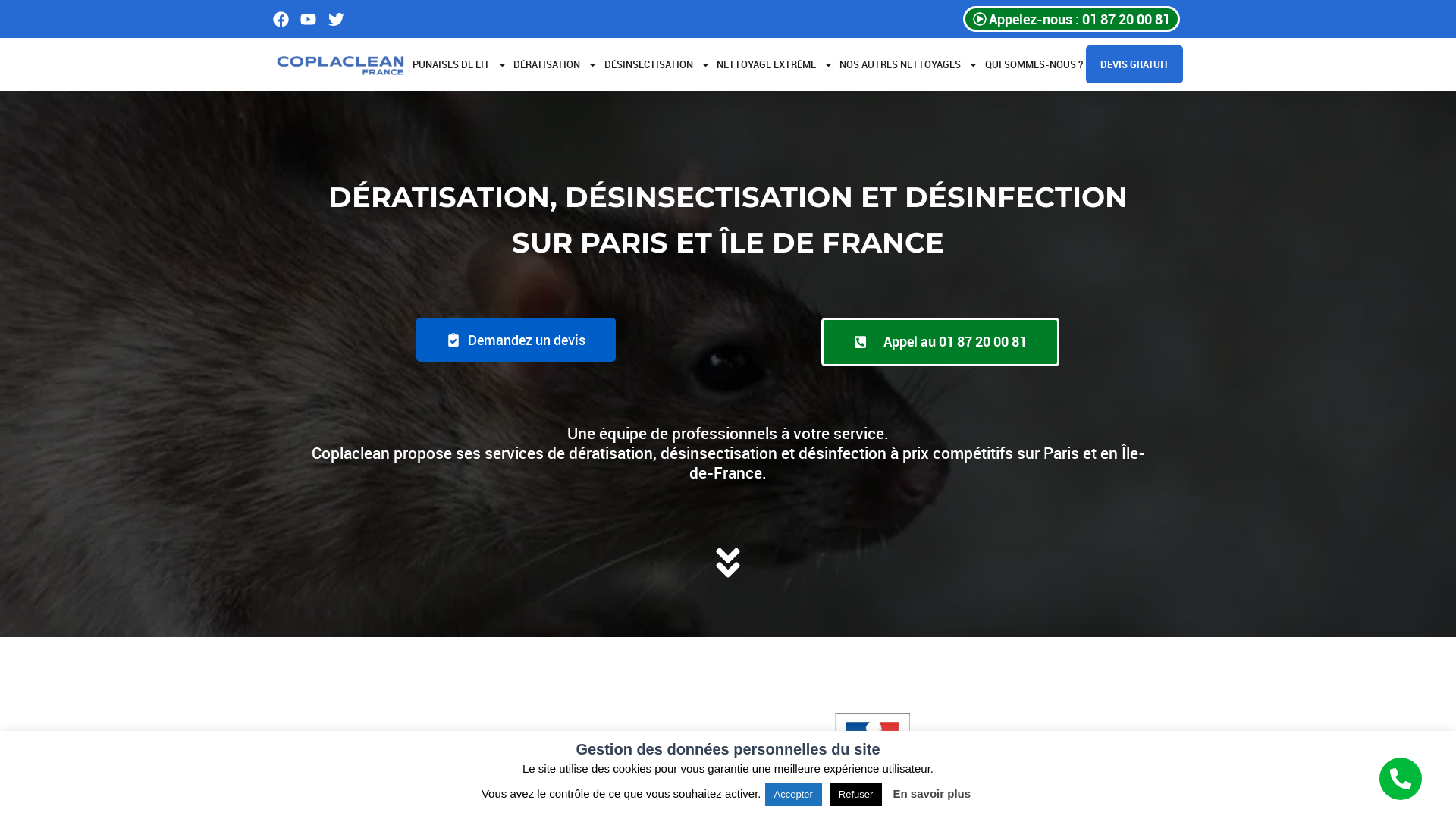 Capture d'écran de Coplaclean France-Entreprise de Dératisation, Désinsectisation et Désinfection