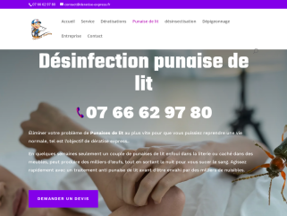 Désinfection des punaises de lit maison, appartement, hotel, cinema.
intervention dans la journée, devis immédiat.