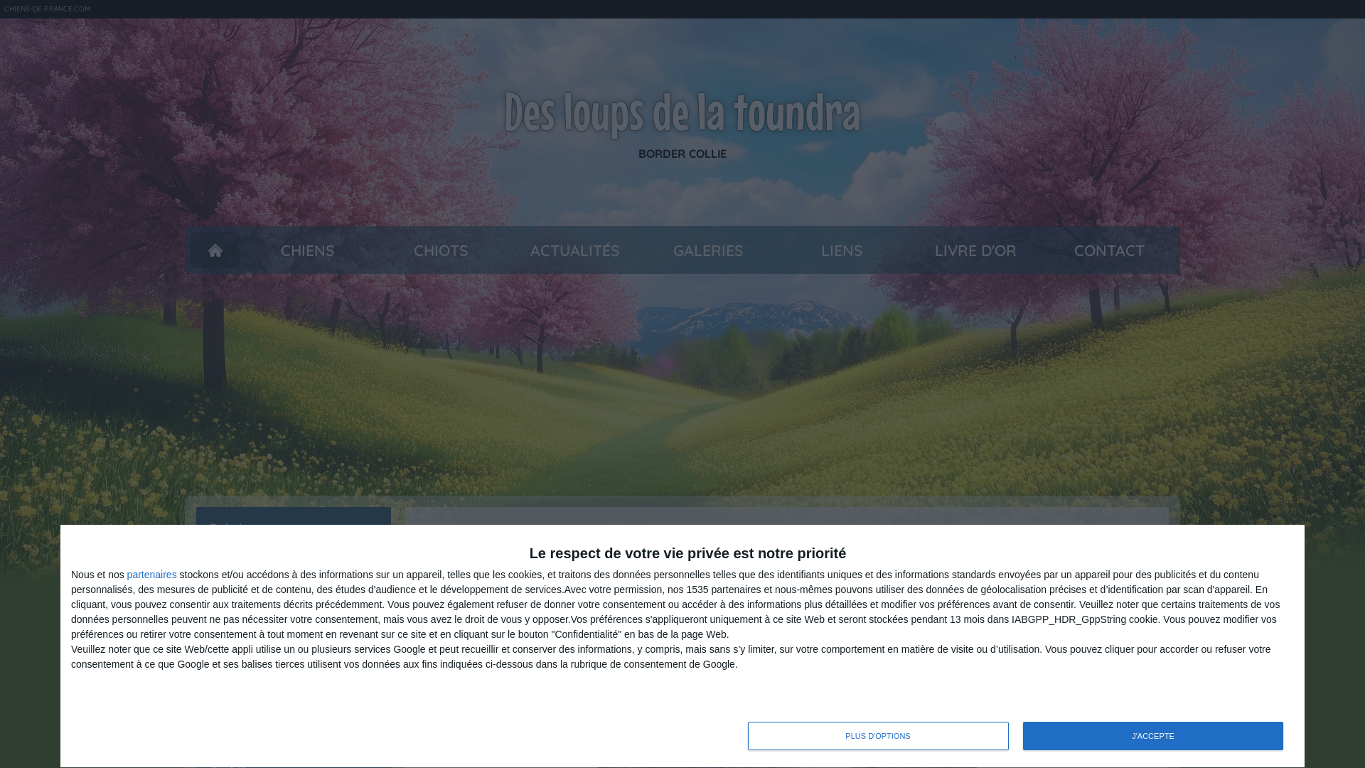 Capture d'écran de Croquettes aliments materiel elevage pension chien chat boutique en ligne pour animaux domestiques