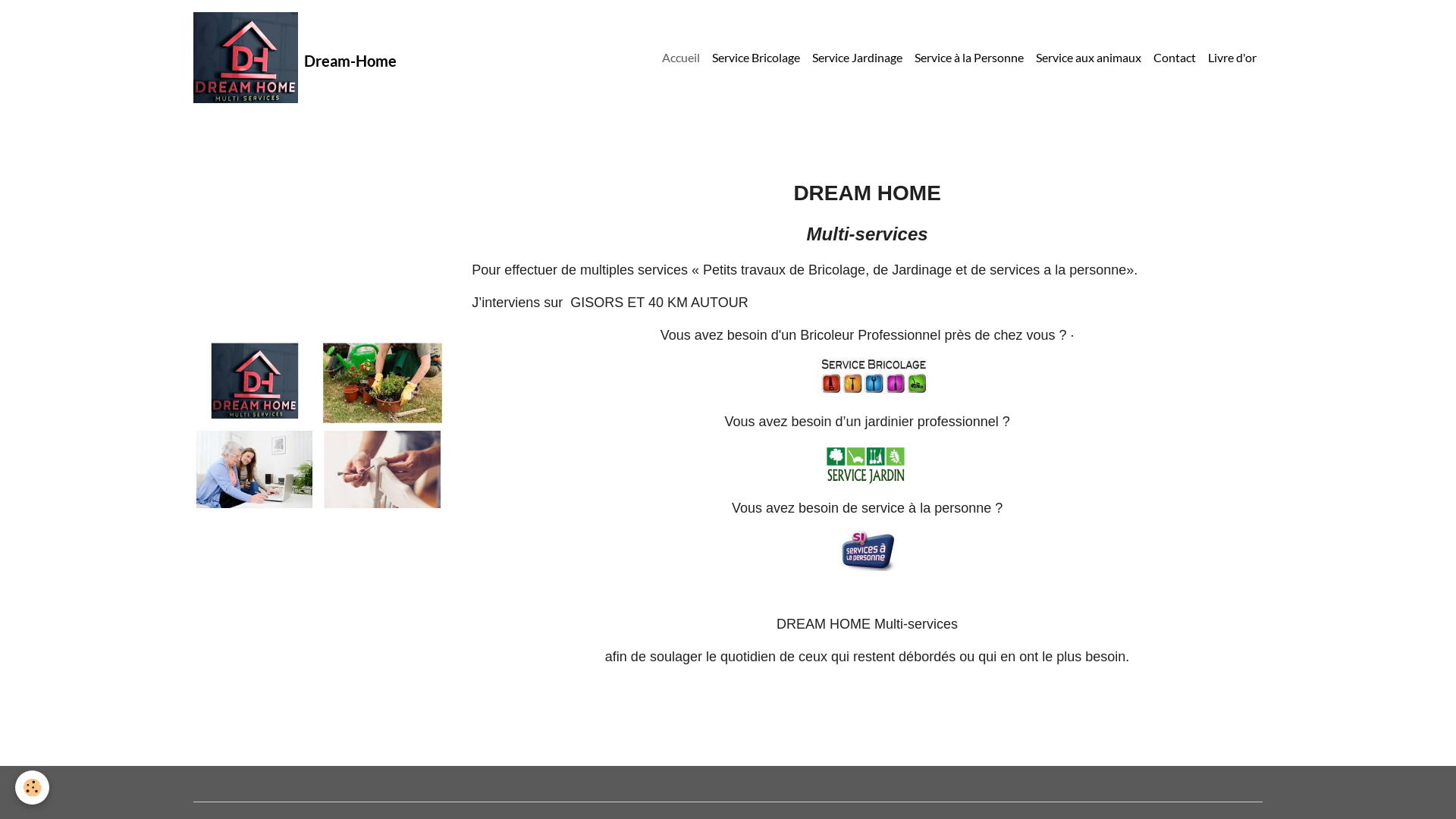 Capture d'écran de DREAM HOME Multi-services
Bricolage, Jardinage et services divers à la personne».