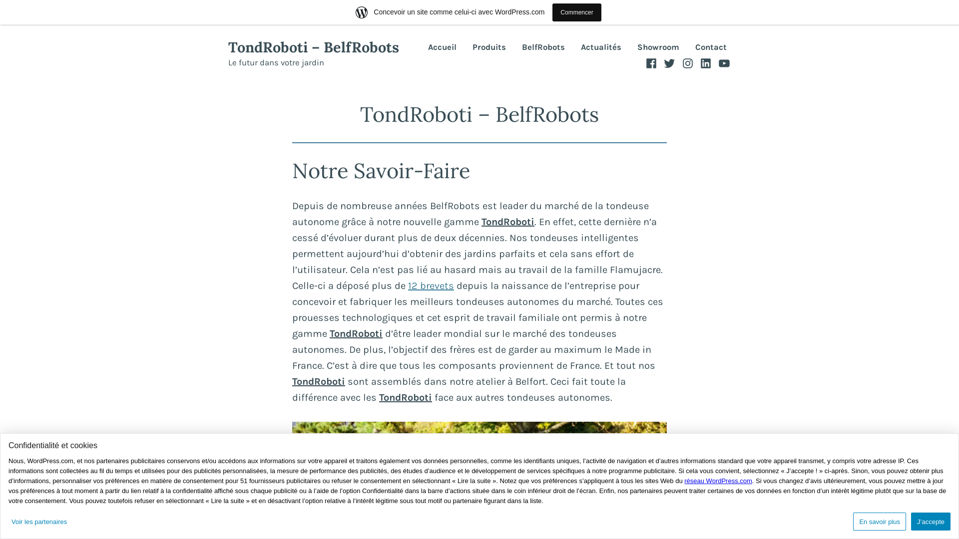 Capture d'écran de Robot pour tonte de jardin