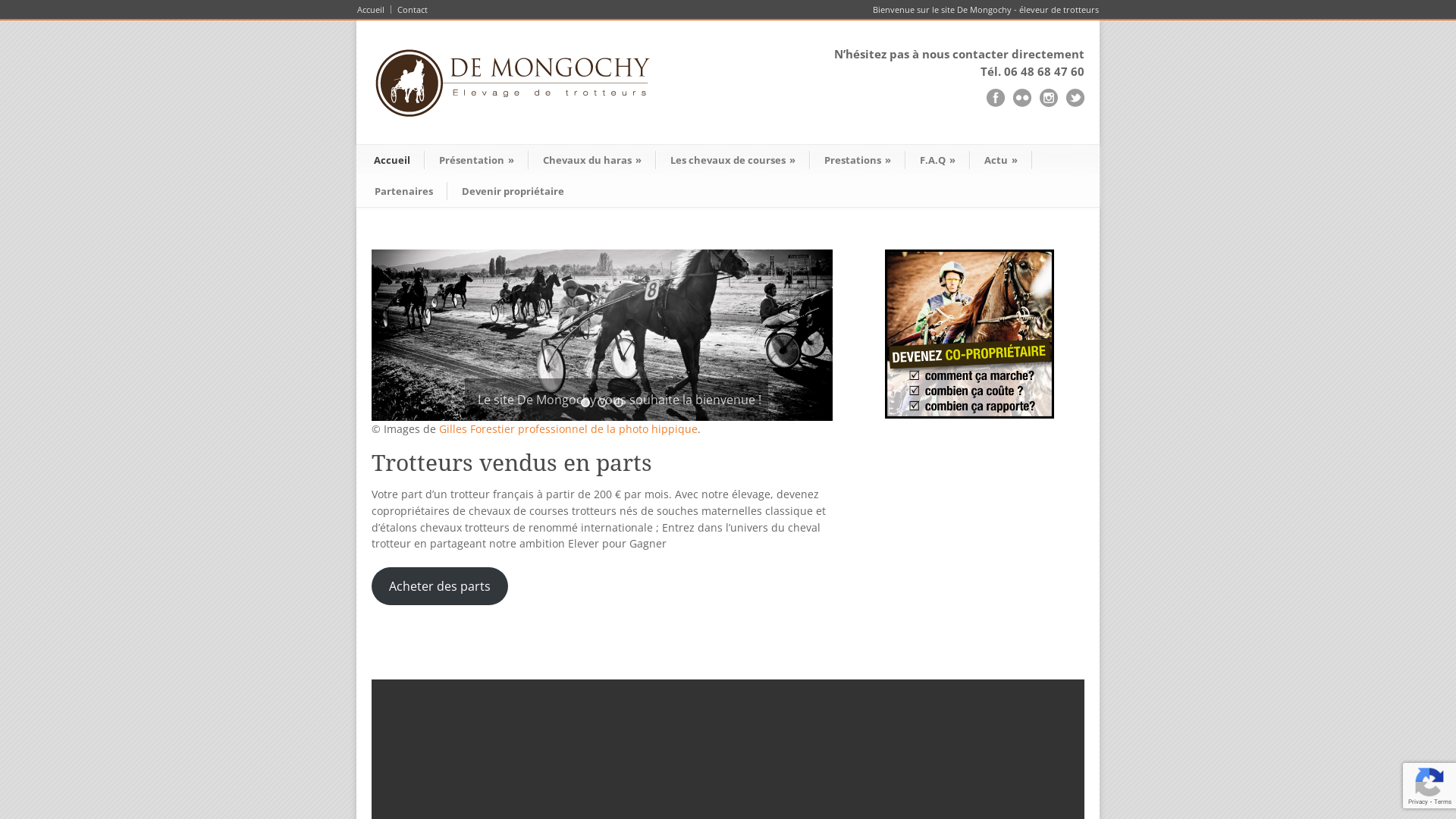 Capture d'écran de Elevage trotteur