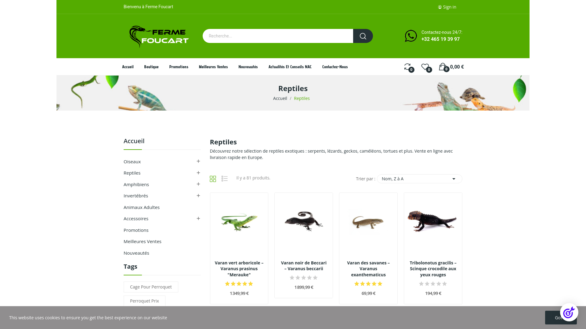 Capture d'écran de Reptiles à vendre – Serpents, lézards, geckos | Livraison Europe
