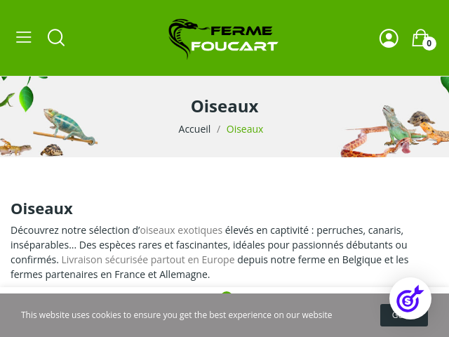 Oiseaux exotiques & perroquets &agrave; vendre en France | Livraison s&eacute;curis&eacute;e Europe