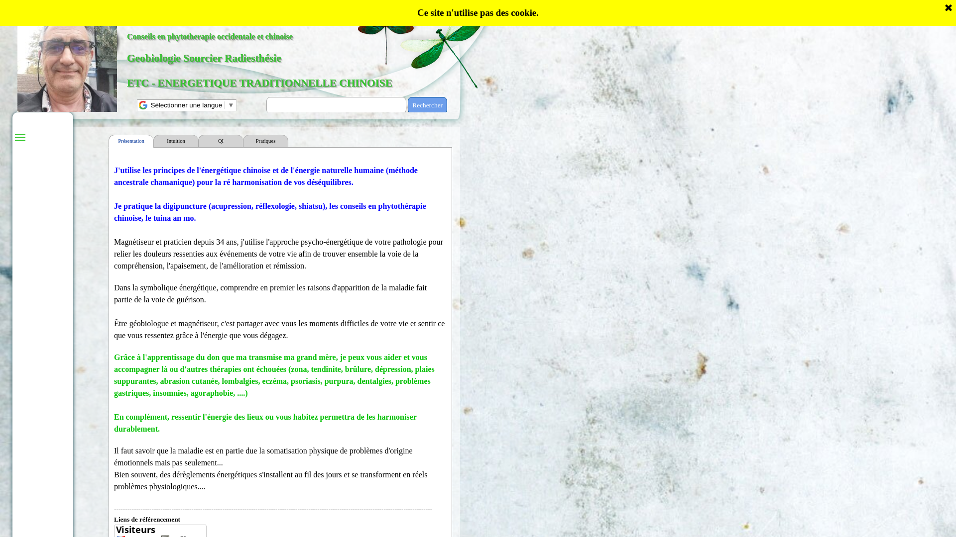 Capture d'écran de GABAUDE BRUNO - SOURCIER - GEOBIOLOGIE - RADIESTHESIE - MAGNÉTISEUR - PRATICIEN EN ENERGETIQUE CHINOISE TRADITIONNELLE - MTC - CHAMANISME