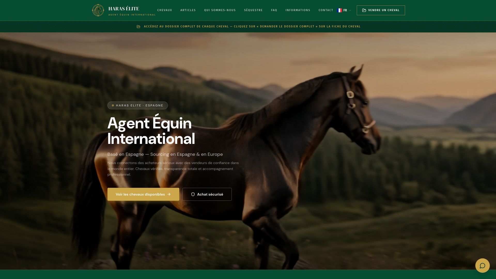 Haras Elite - Pferdemakler | Premium Sportpferde Kaufen