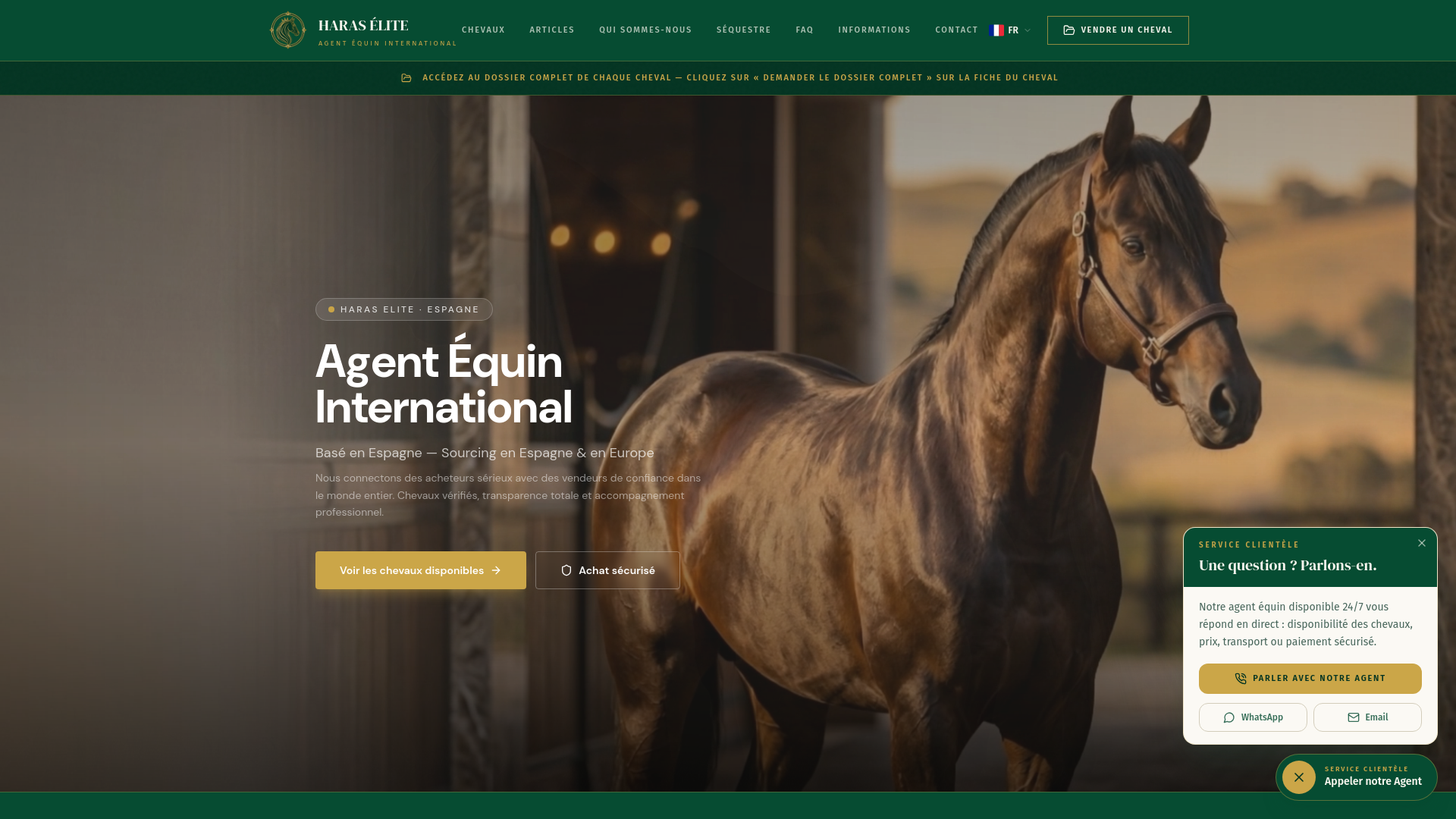 Aperçu de HARAS ELITE — Agente Ecuestre | Caballos de Deporte Premium
