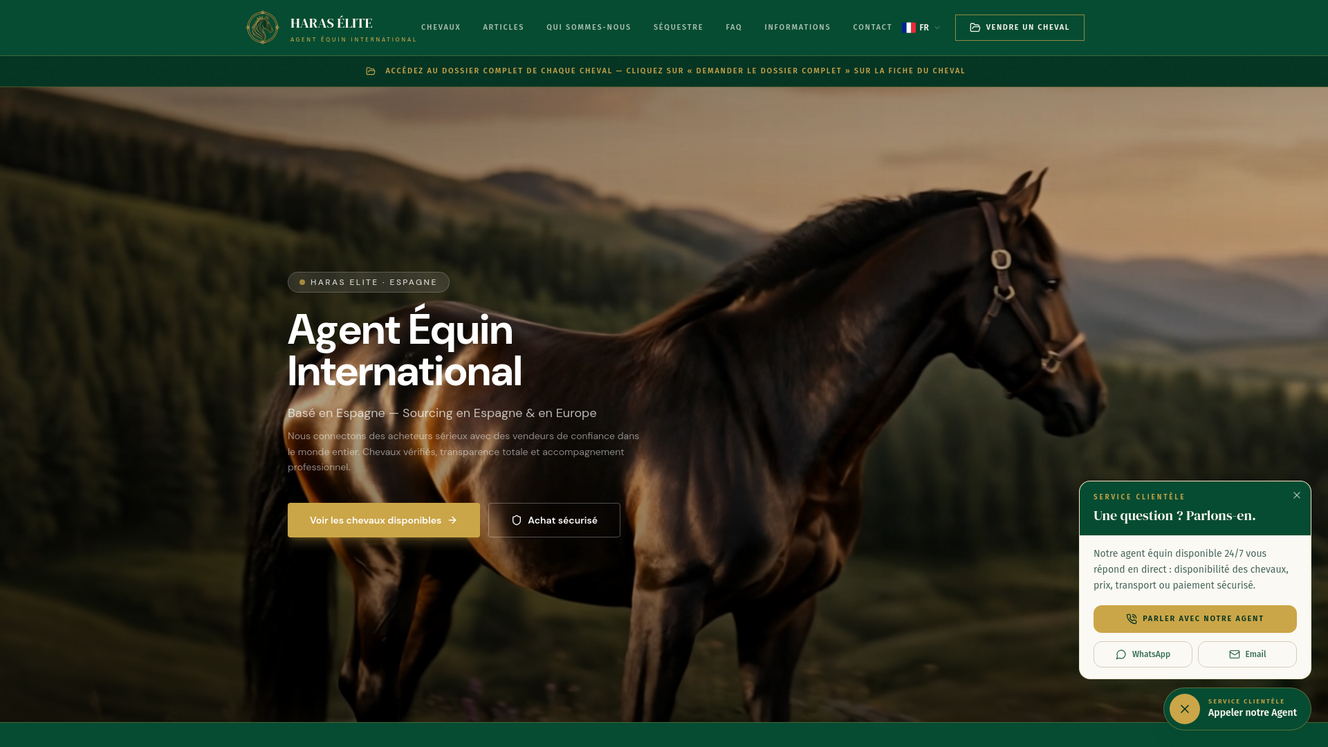Aperçu de HARAS ELITE — Agent Équestre | Chevaux de Sport Premium