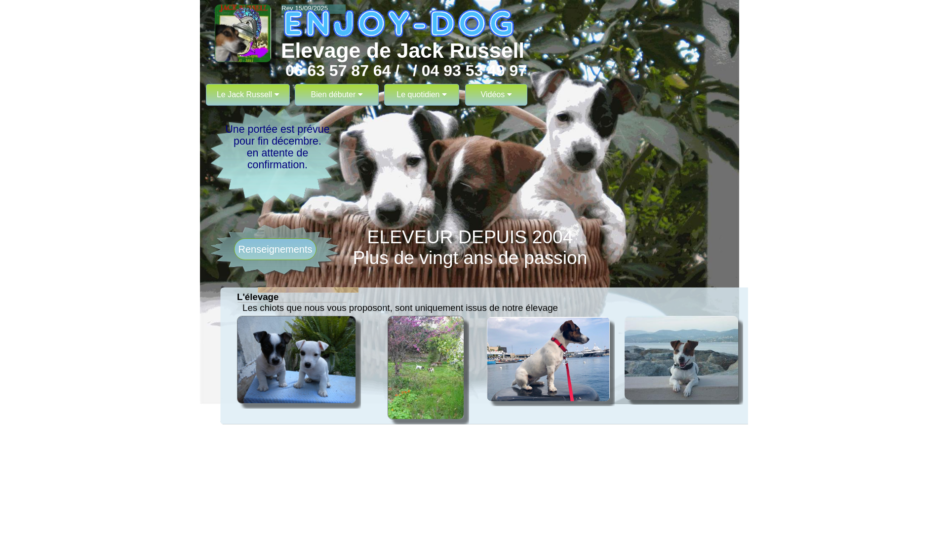 Capture d'écran de ENJOY-DOG Elevage de Jack Russell