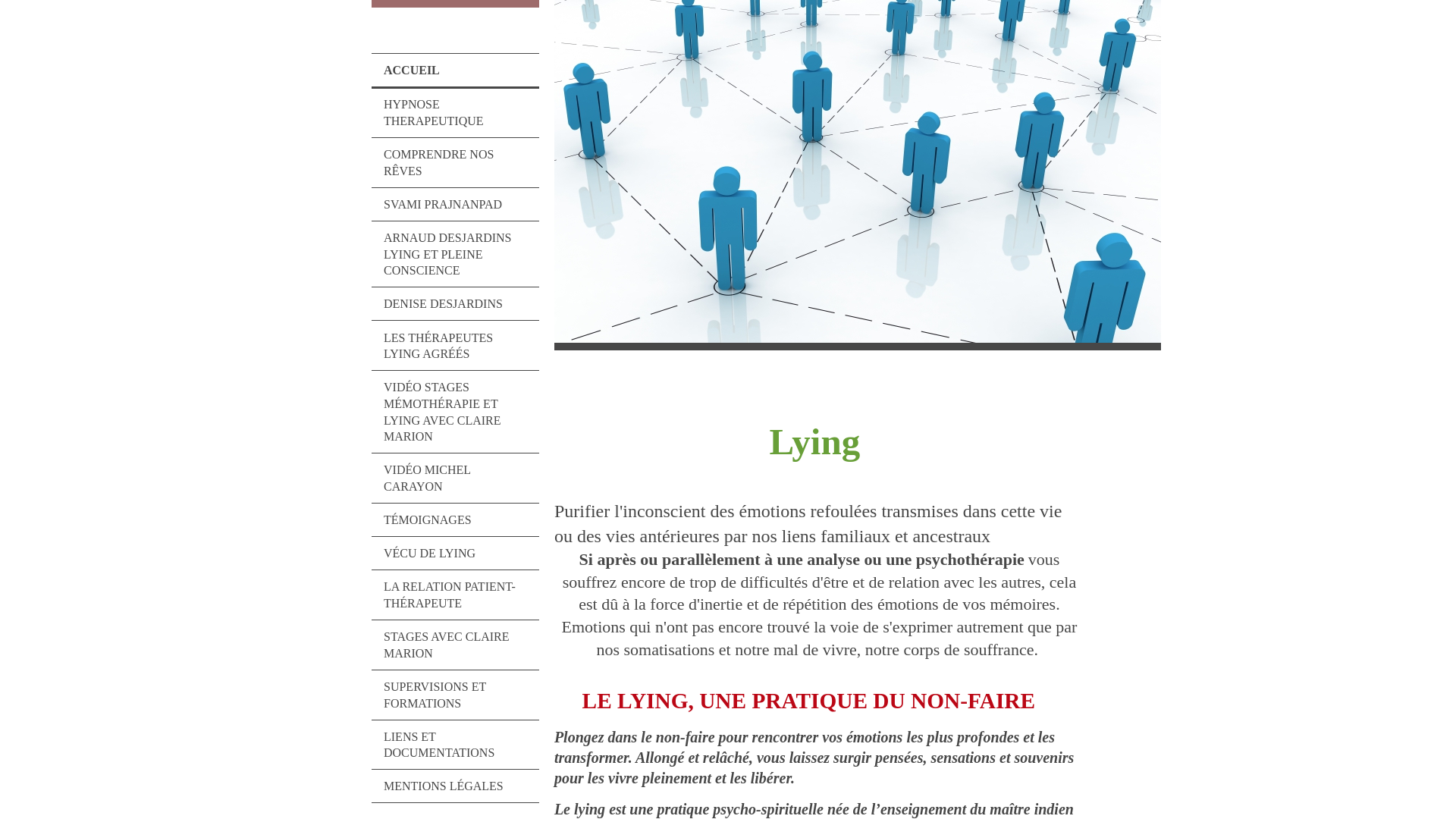 Capture d'écran de Lying Consultation Formation