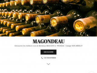 Château Magondeau - Grand vin bordeaux