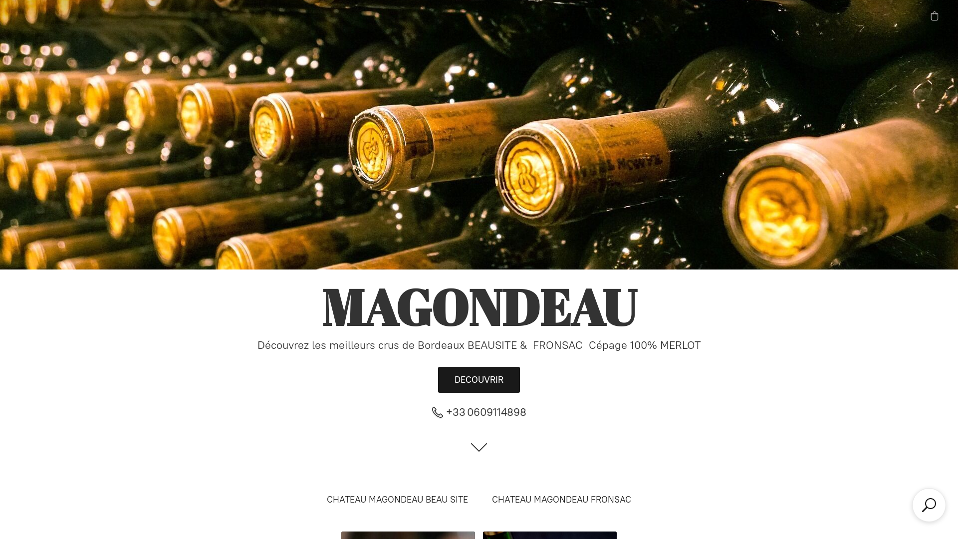 Capture d'écran de Château Magondeau - Grand vin bordeaux