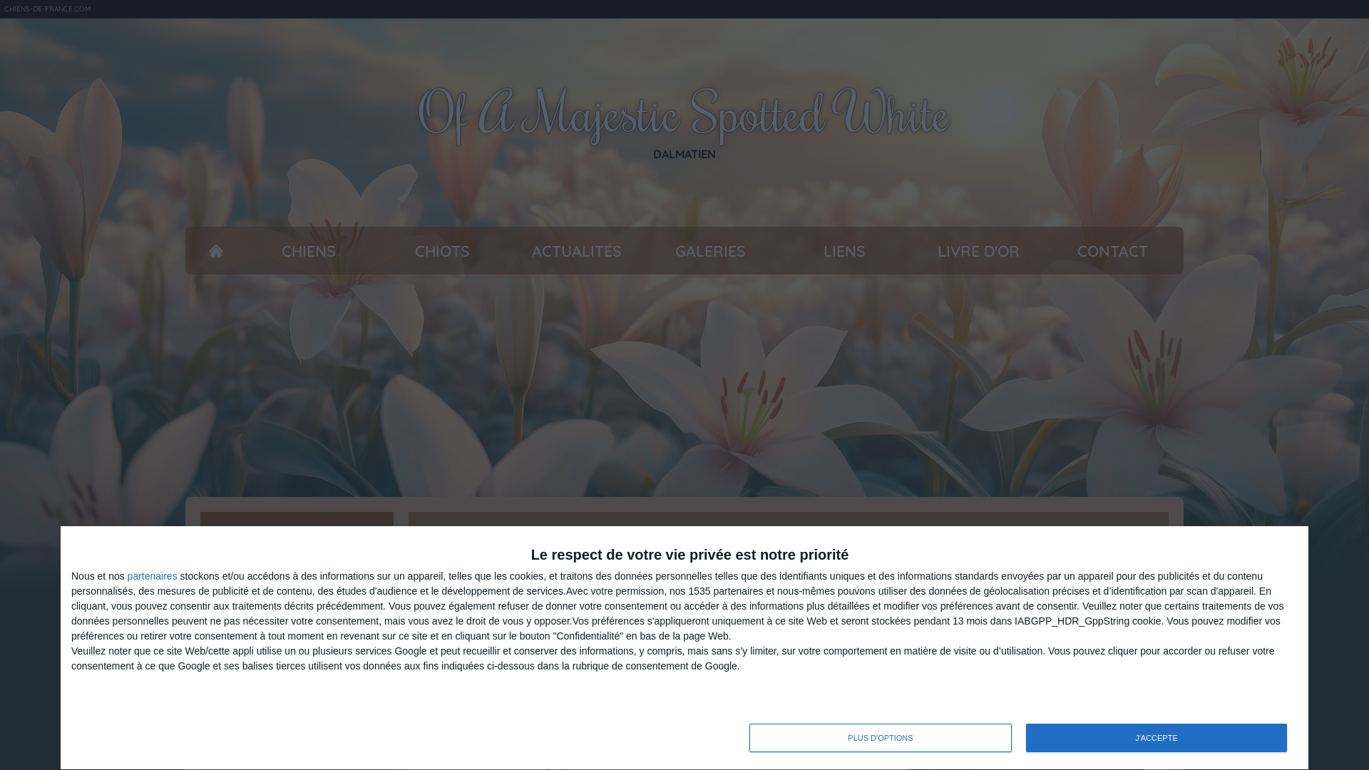 Capture d'écran de The Dalmatians of a Majestic Spotted White