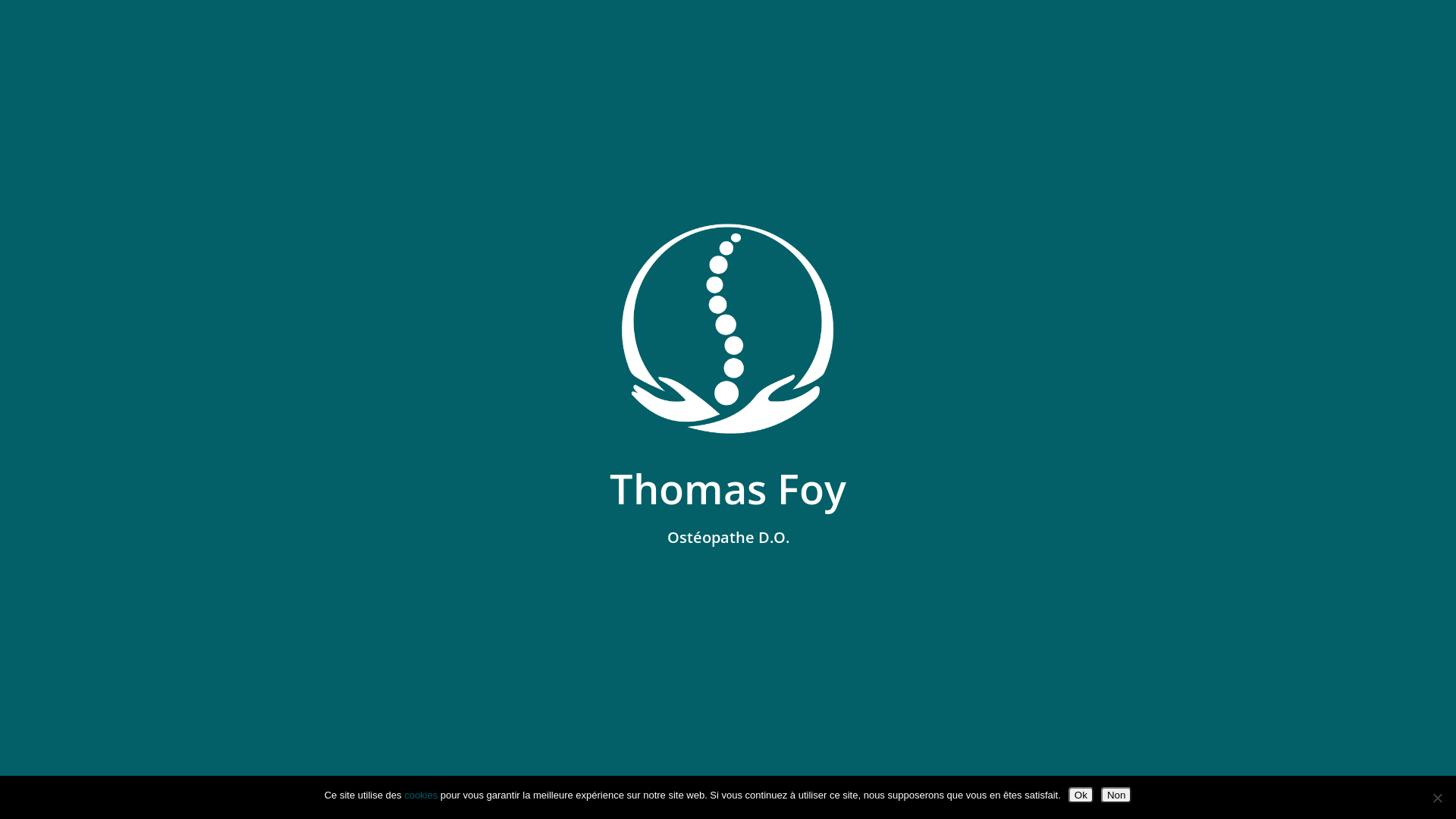 Capture d'écran de Ostéopathe Coubert 77170 - Thomas Foy
