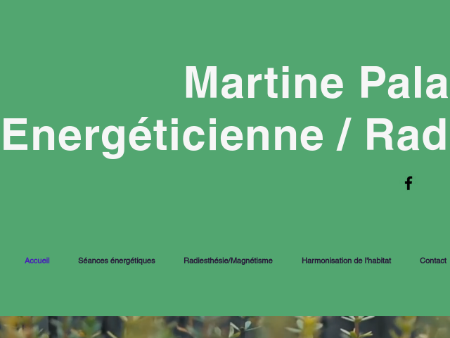 Energ&eacute;ticienne / Radiesth&eacute;siste