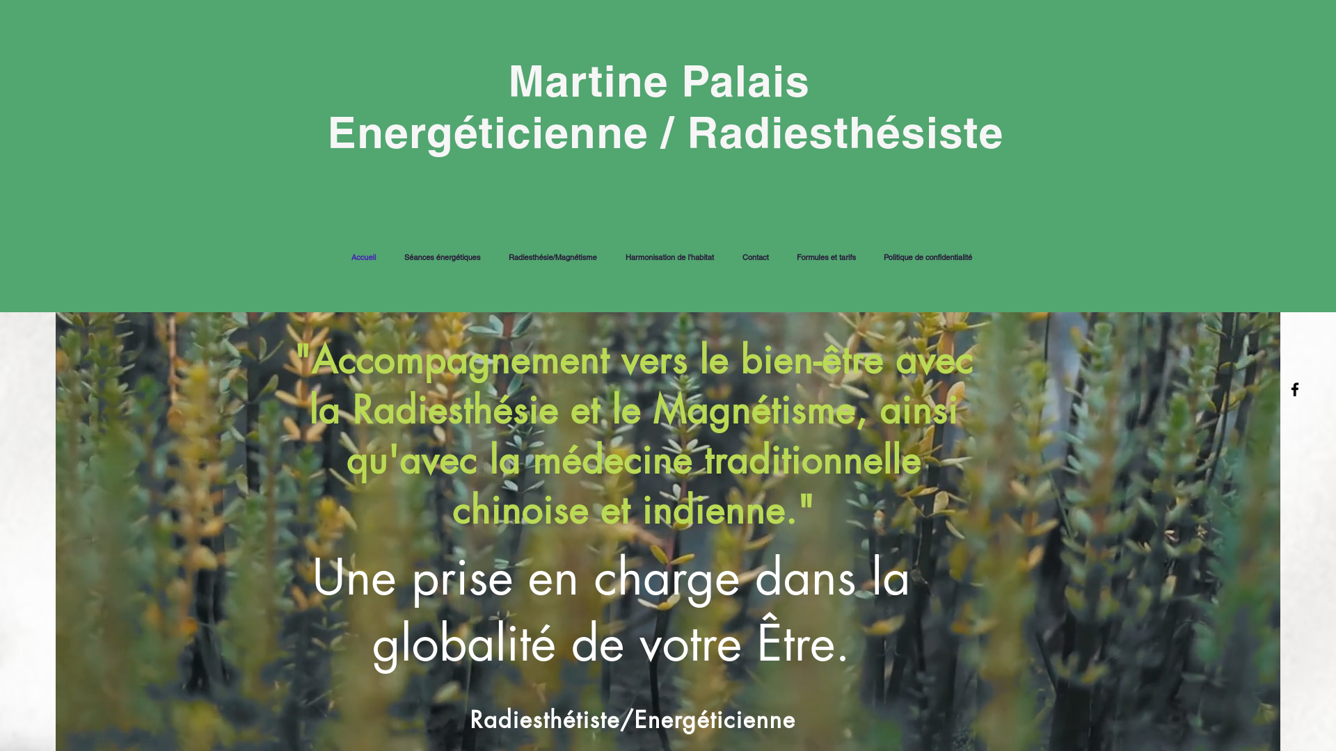 Energéticienne / Radiesthésiste
