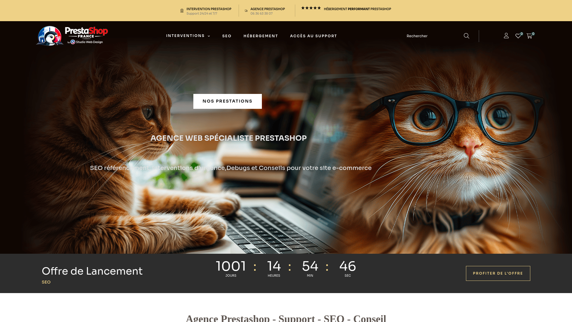 Agence PrestaShop France – Support, Référencement SEO & Conseil