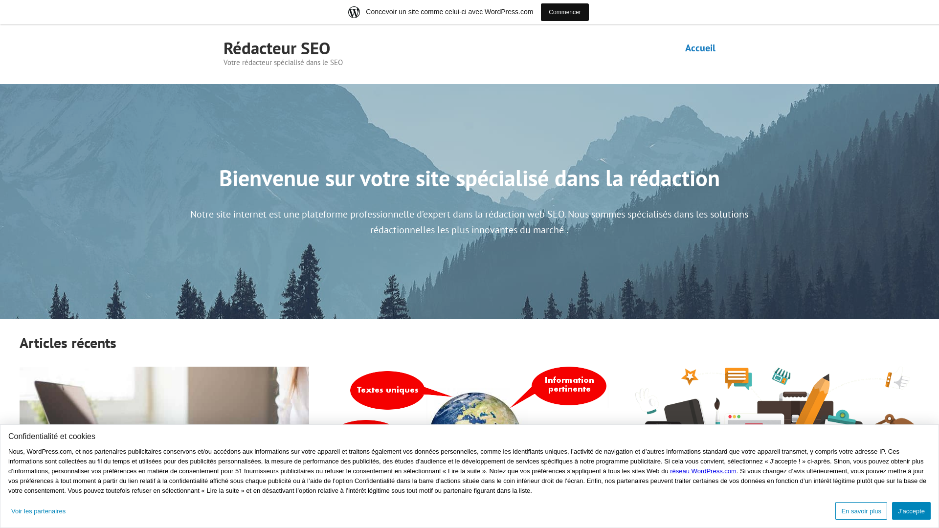 Capture d'écran de Redacteur Web expert en sémantique