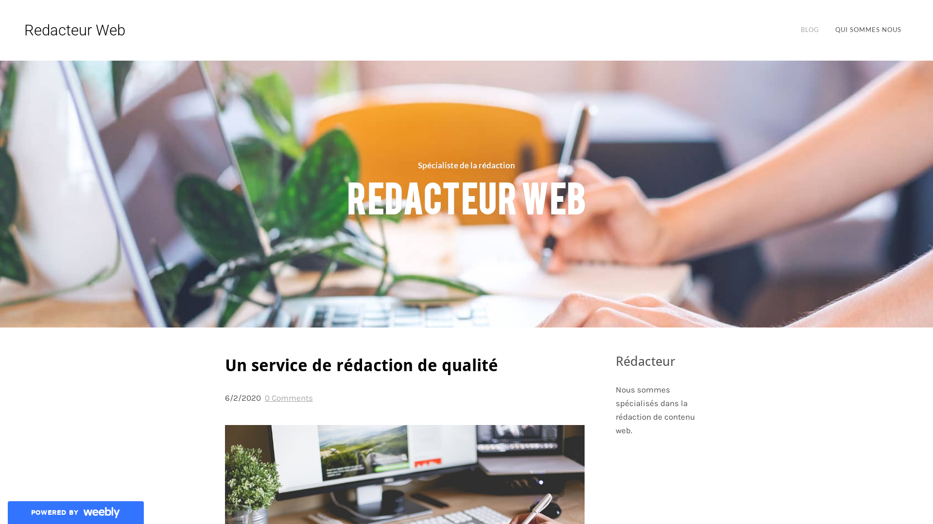 Capture d'écran de Redacteur Web: Achetez votre contenu