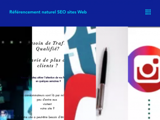 Referencement de sites web et Marketing Digital. PLM Consulting 