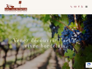 Organisation de tours privés dans le vignoble de Bordeaux.