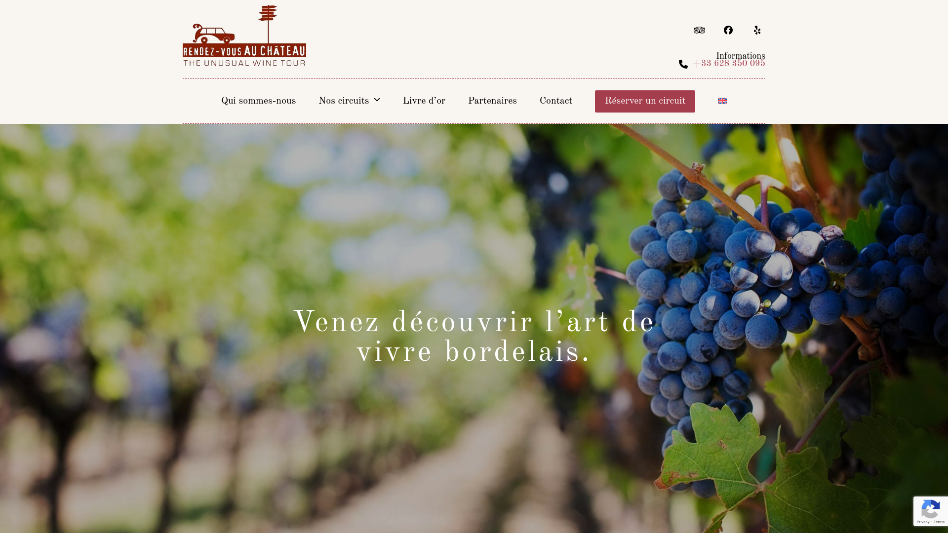 Organisation de tours privés dans le vignoble de Bordeaux.