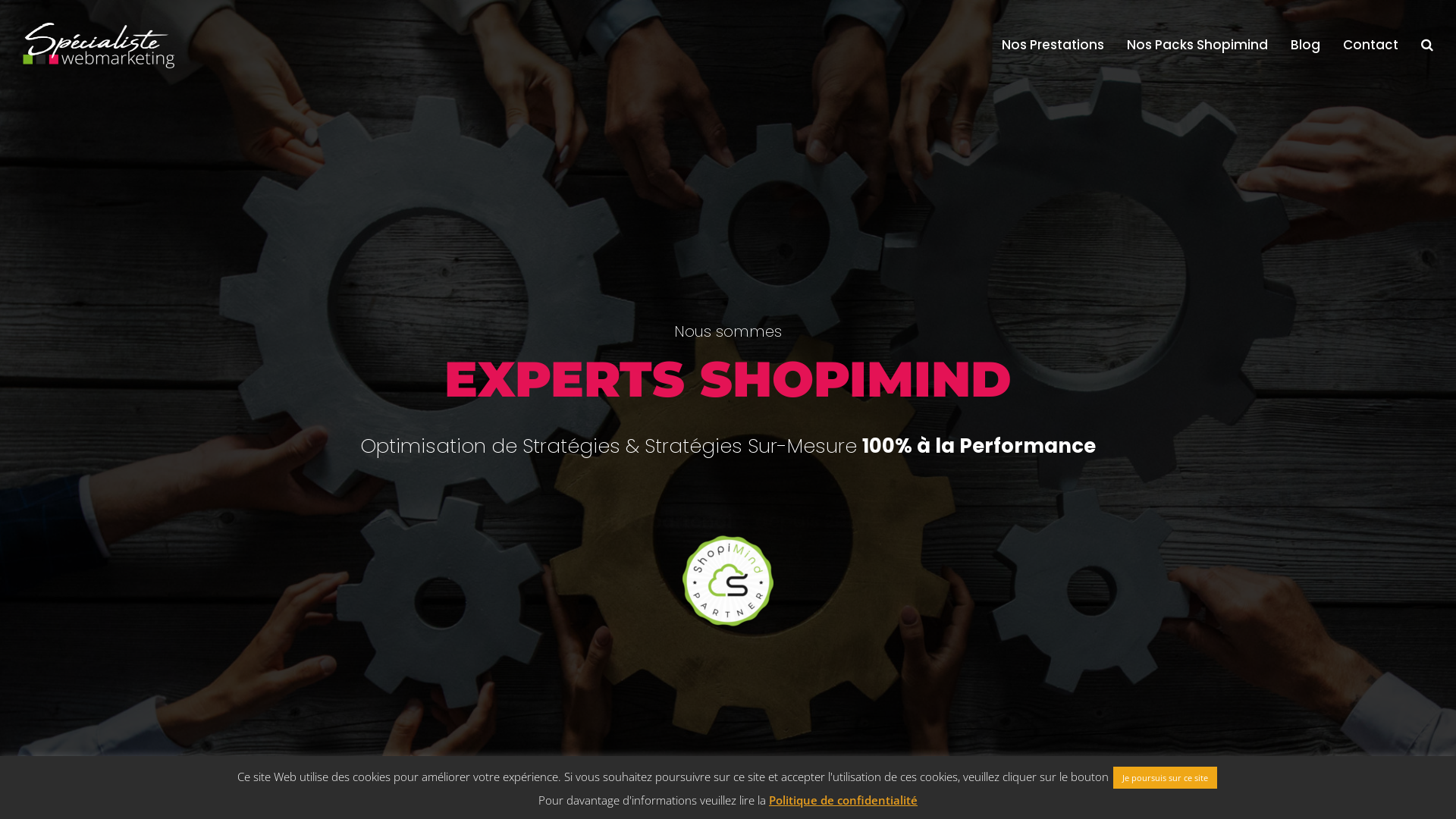 Capture d'écran de Experts Shopimind, Marketing Automation