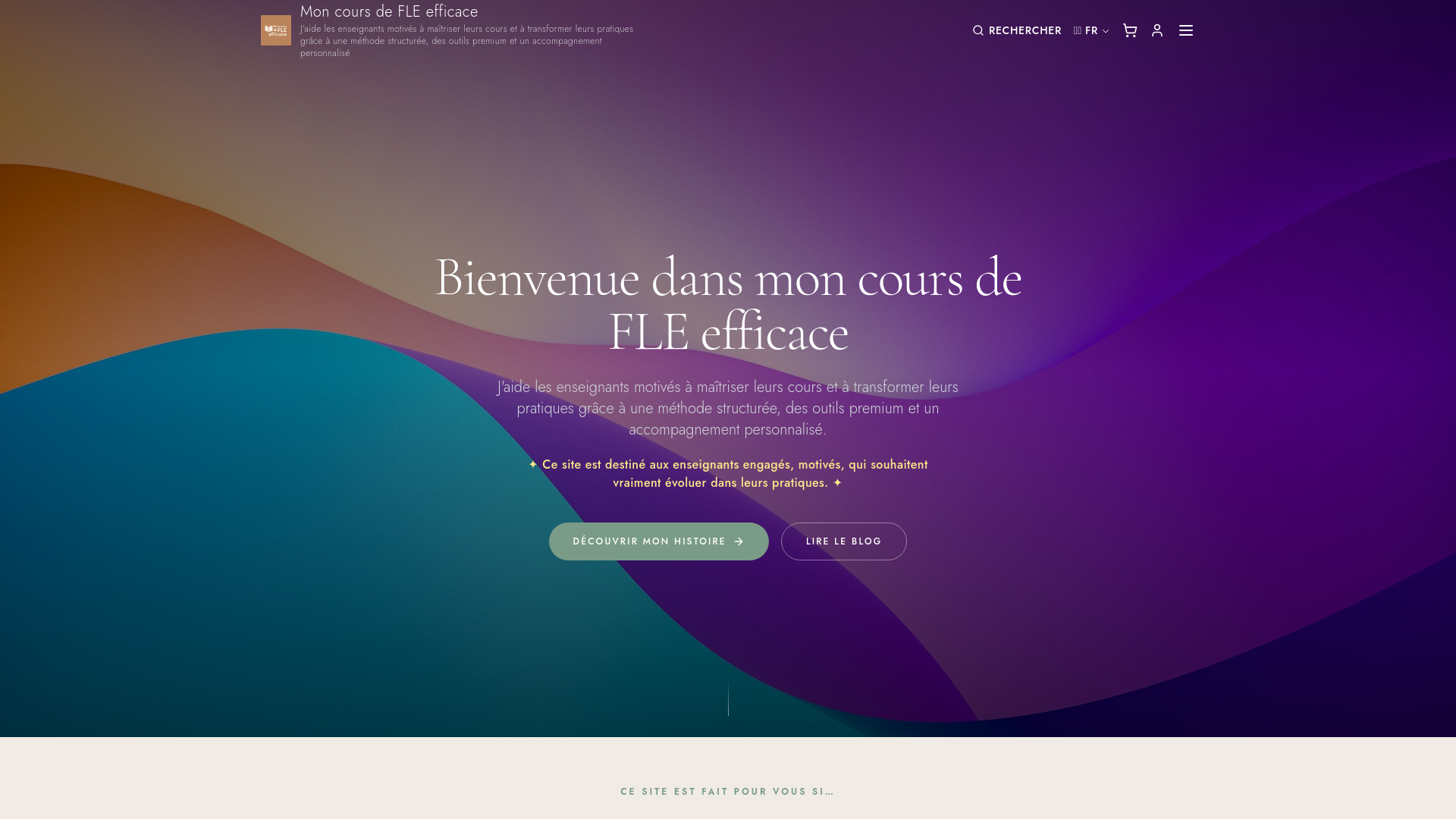 Mon cours de fle efficace