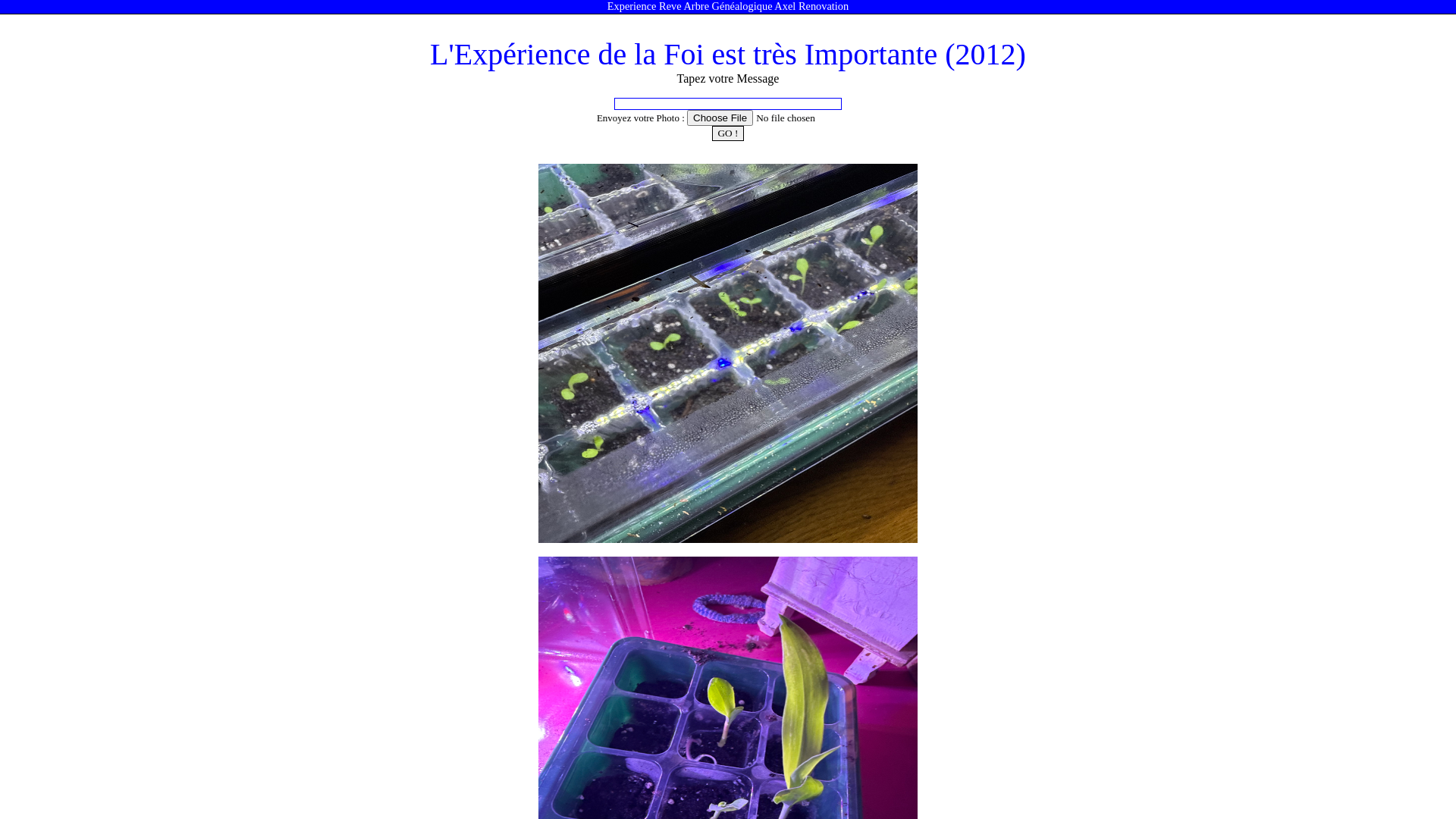 Capture d'écran de Réseau social