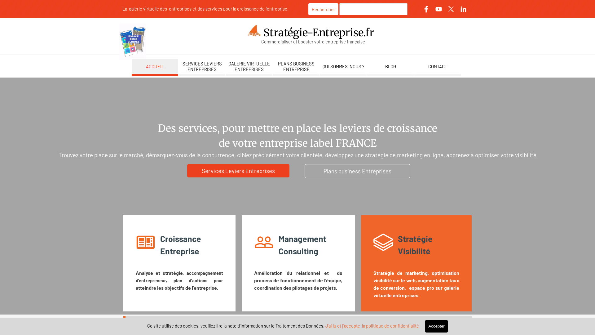 Capture d'écran de Stratégie Entreprise France , 
Galerie virtuelle entreprises de France, 
