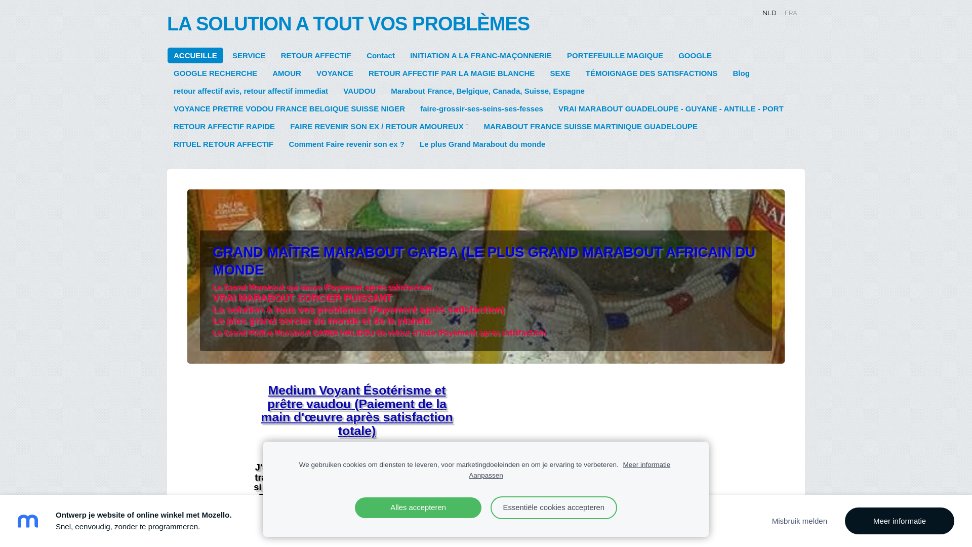 Capture d'écran de Le plus grand spécialiste des travaux spirituelles (retour affectif, argent rapide, célébrité rapide et de haut niveau)
