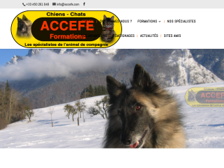 Educateurs et comportementalistes canin félin formation ACCEFE

