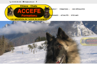 Educateur Comportementaliste canin félin Formation ACCEFE