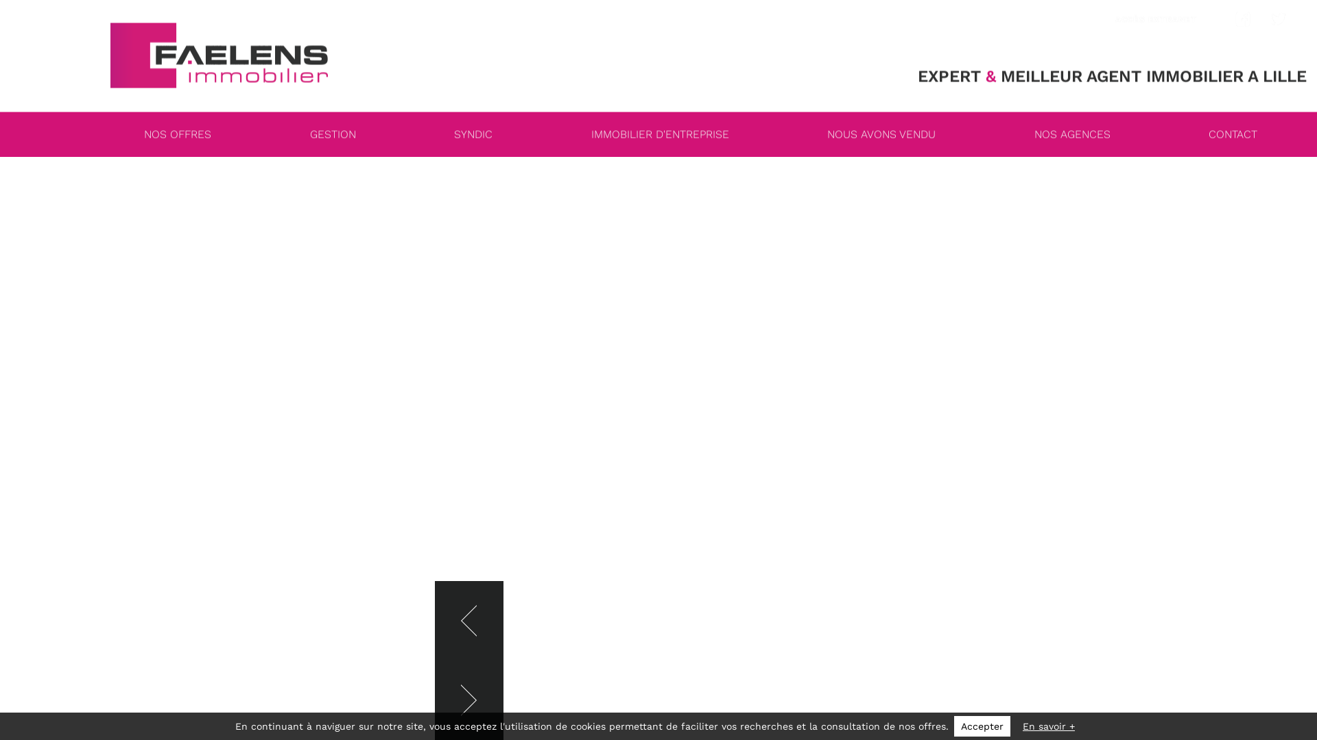 Agence Immobiliere à Lille centre, Wazemmes, Moulins, Vieux Lille, Vauban, Esquermes, Lebas et autre