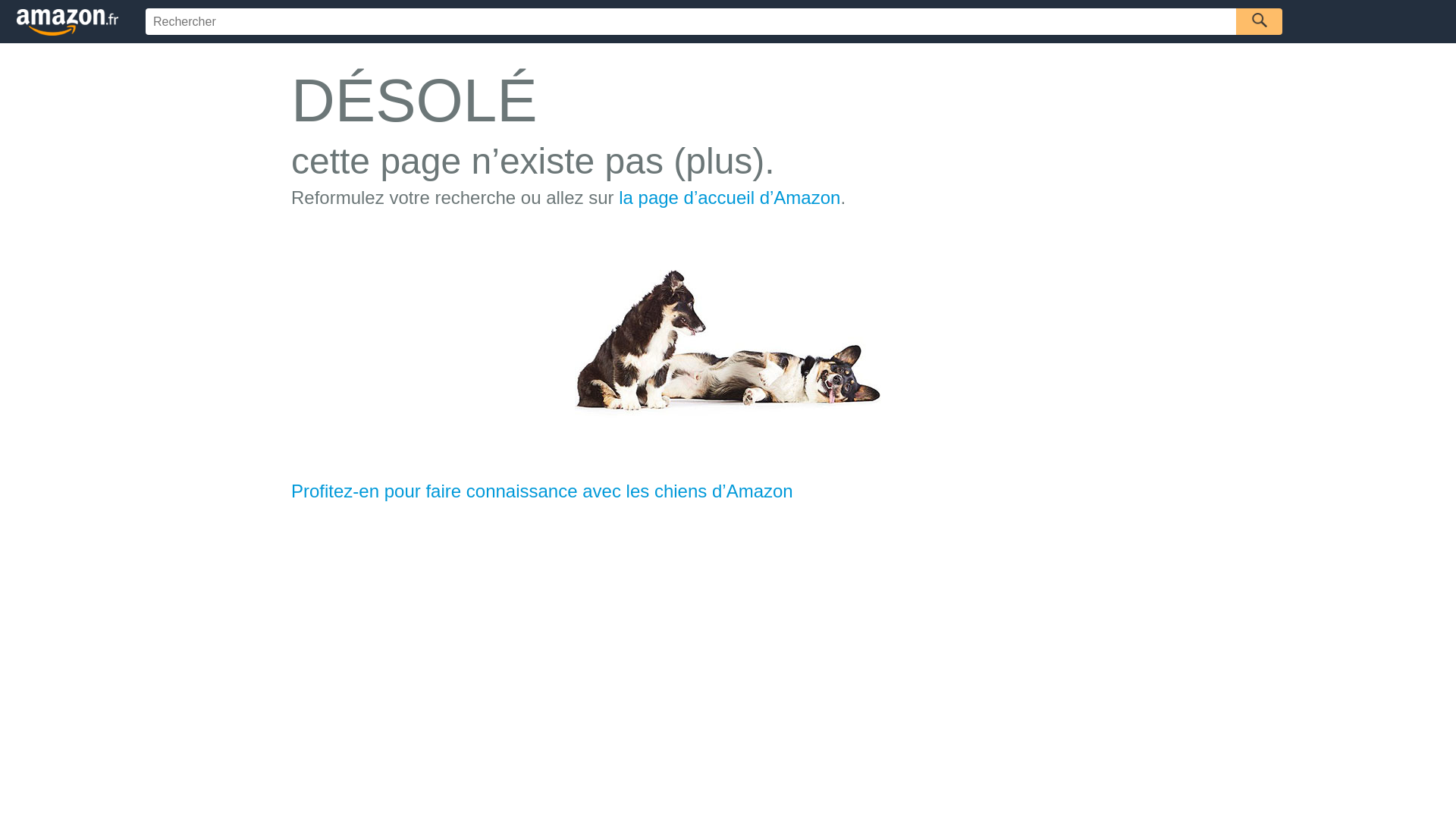 Capture d'écran de Boutique snb
lampe torche led rechargeable

