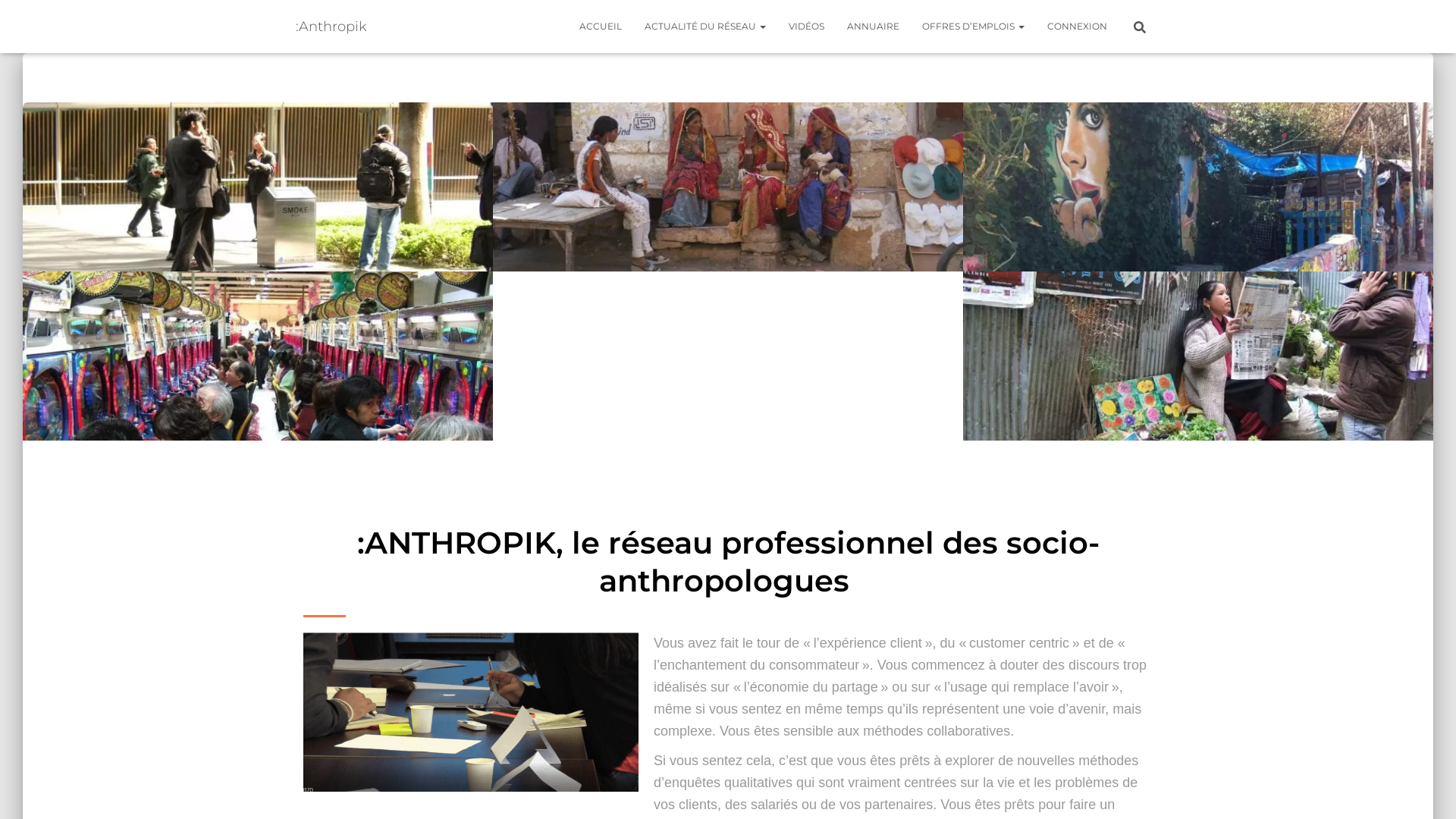 Capture d'écran de Réseau anthropologue sociologue ethnologue professionnel